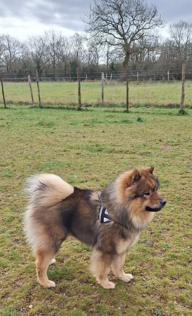 Thamani Du Domaine Des Terres De Jade