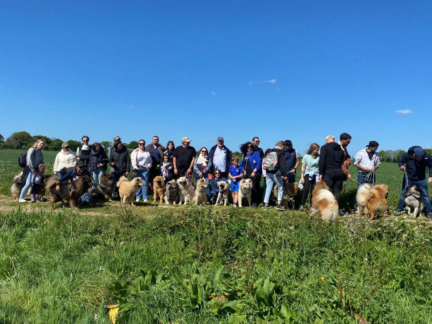 LES BALLADES ET RASSEMBLEMENTS  AUX TERRES DE JADE